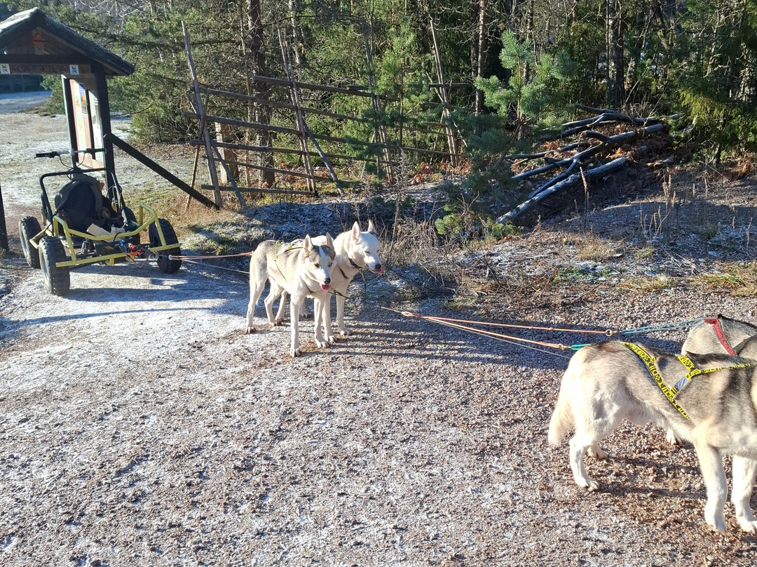 Arctic Expedition-埃斯波必去景点