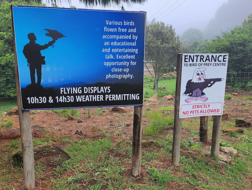 Dullstroom Bird of Prey & Rehabilitation Centre-德尔斯特鲁姆必去景点