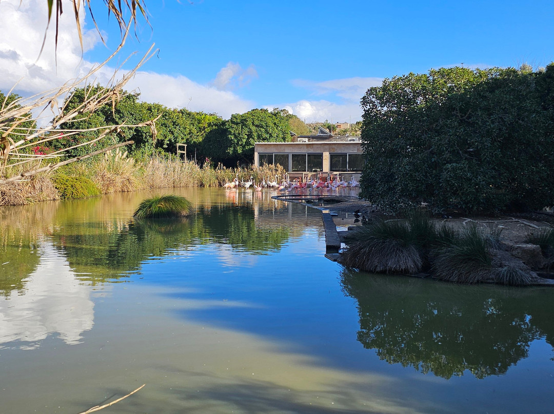 Birdpark Malta-Salina必去景点
