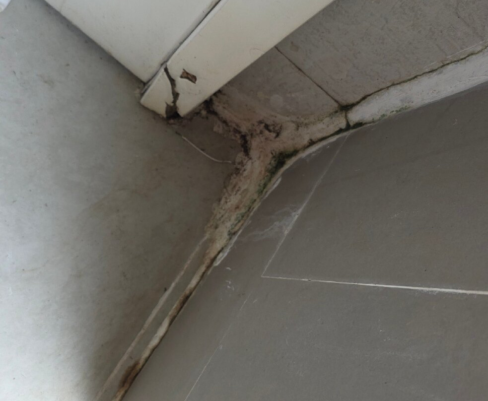 猫禄度假村主图