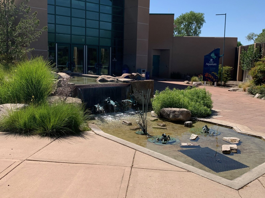 ABQ BioPark Aquarium-阿尔伯克基必去景点