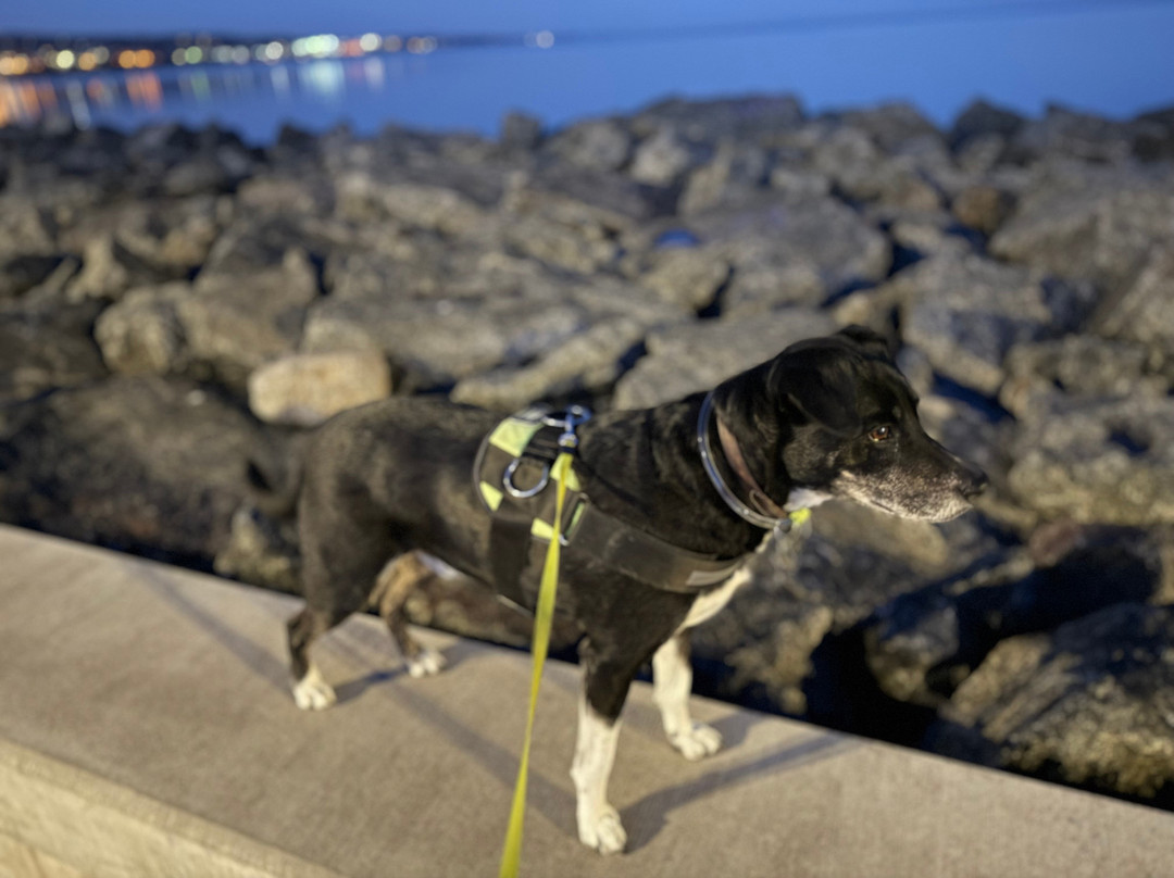 Hampton Inn By Hilton Duluth Canal Park主图