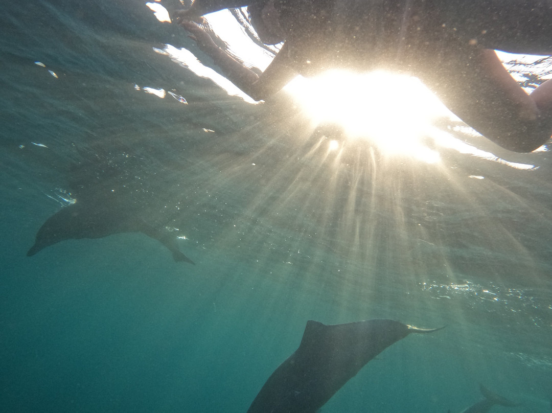 Vitamin Sea-黑河必去景点