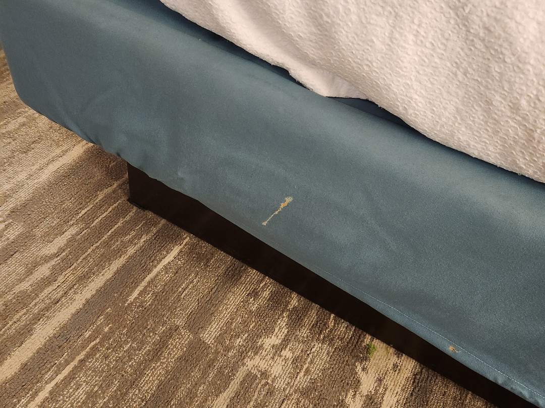 Hilton Garden Inn Olive Branch主图