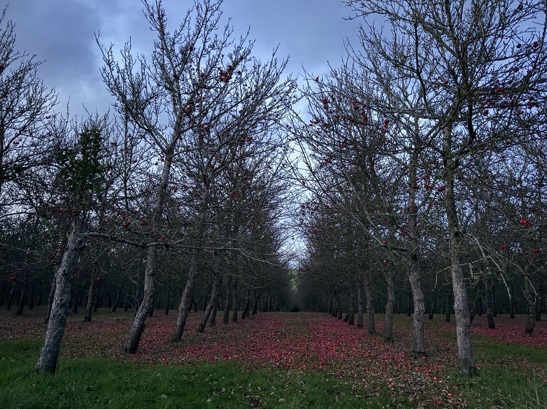 Broome Farmhouse主图