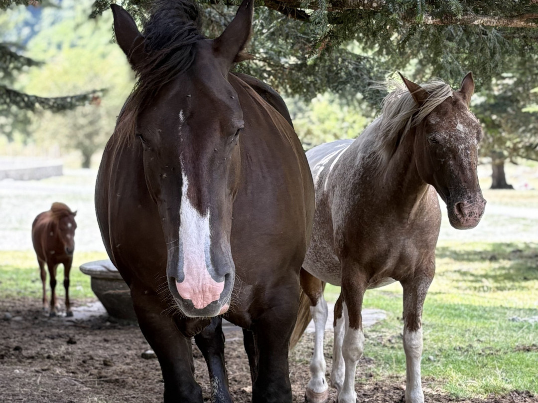 Lac D'Estaing-Estaing必去景点