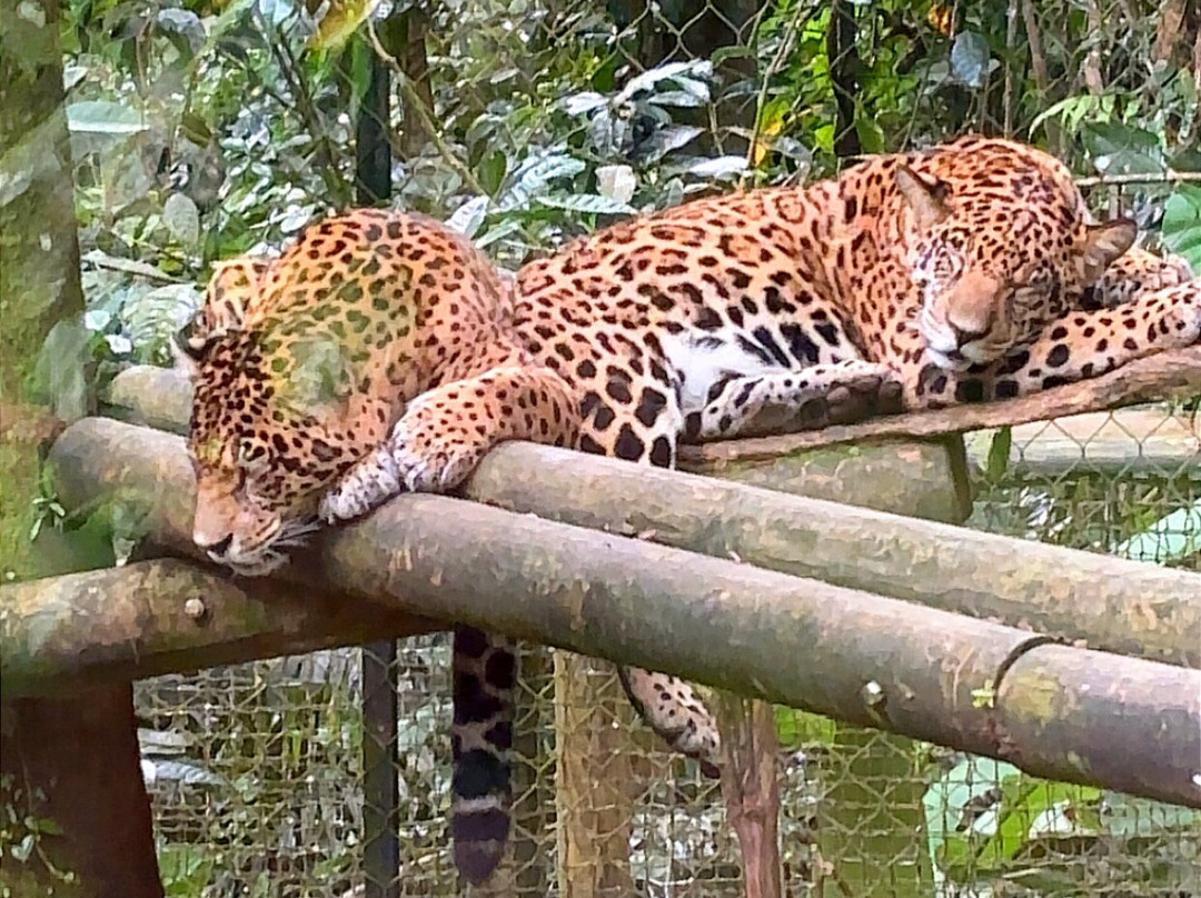 Zoo De Guadeloupe Au Parc Des Mamelles-Bouillante必去景点