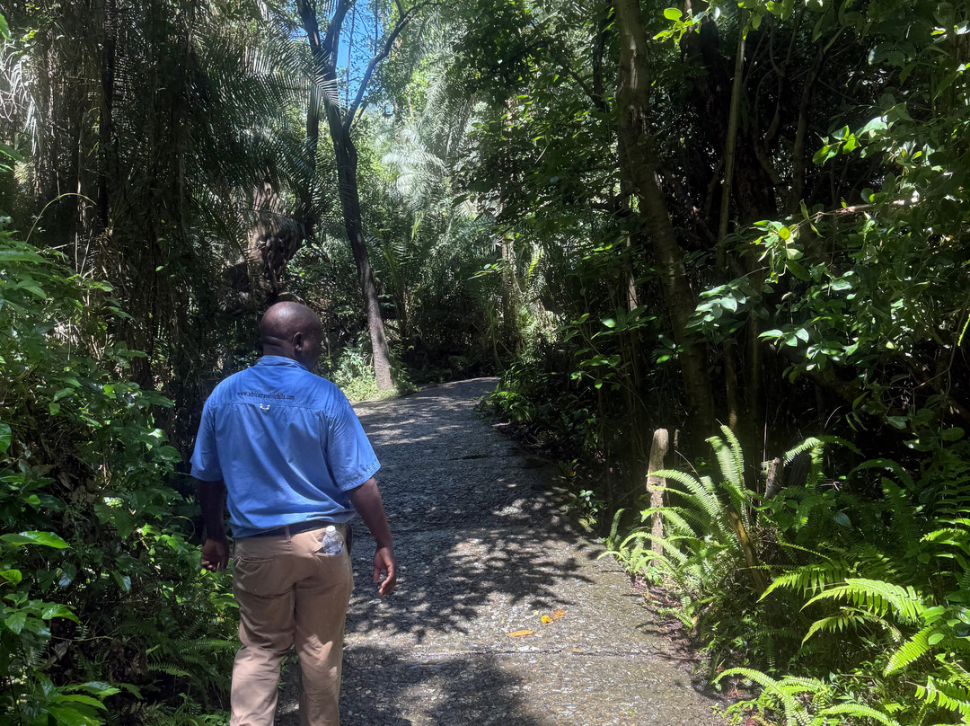 Victoria Falls-李文斯顿必去景点