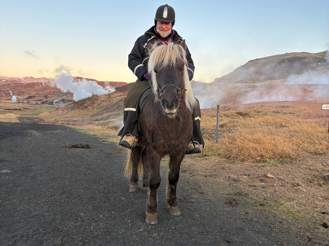 Eldhestar Volcano Horses-Olfus必去景点