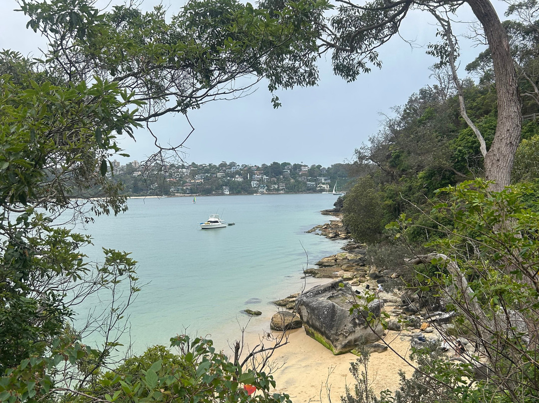 Positive Energy Adventures & Retreats-麦克夸利港必去景点