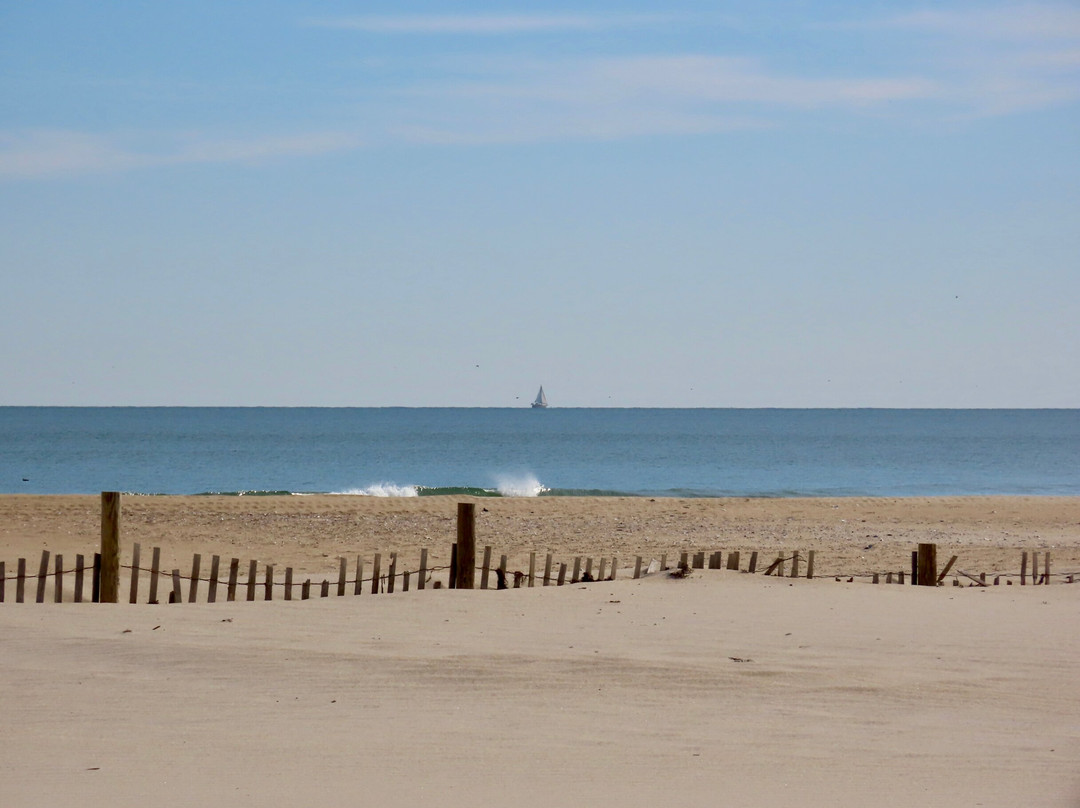 Assateague State Park-Berlin必去景点