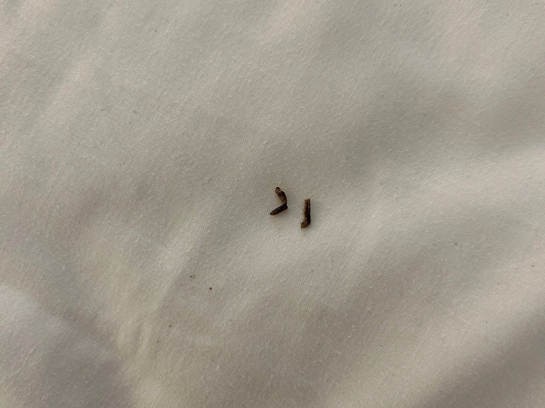 阿讷西法斯特酒店主图