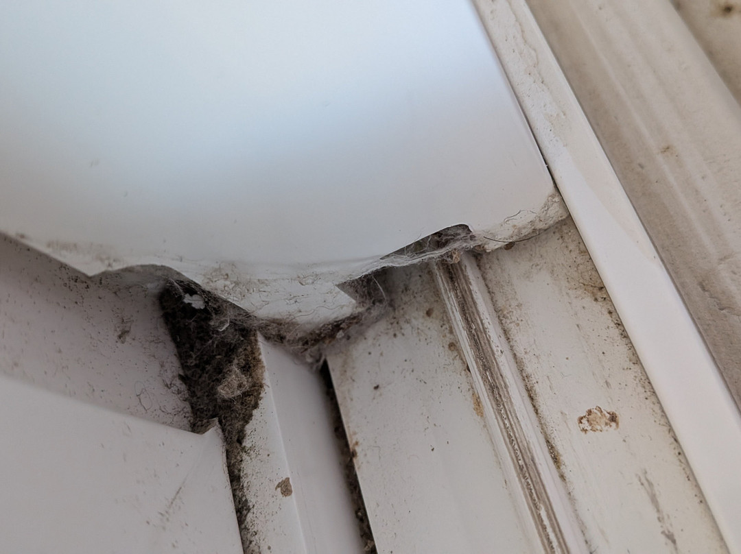 草地鹨酒店主图