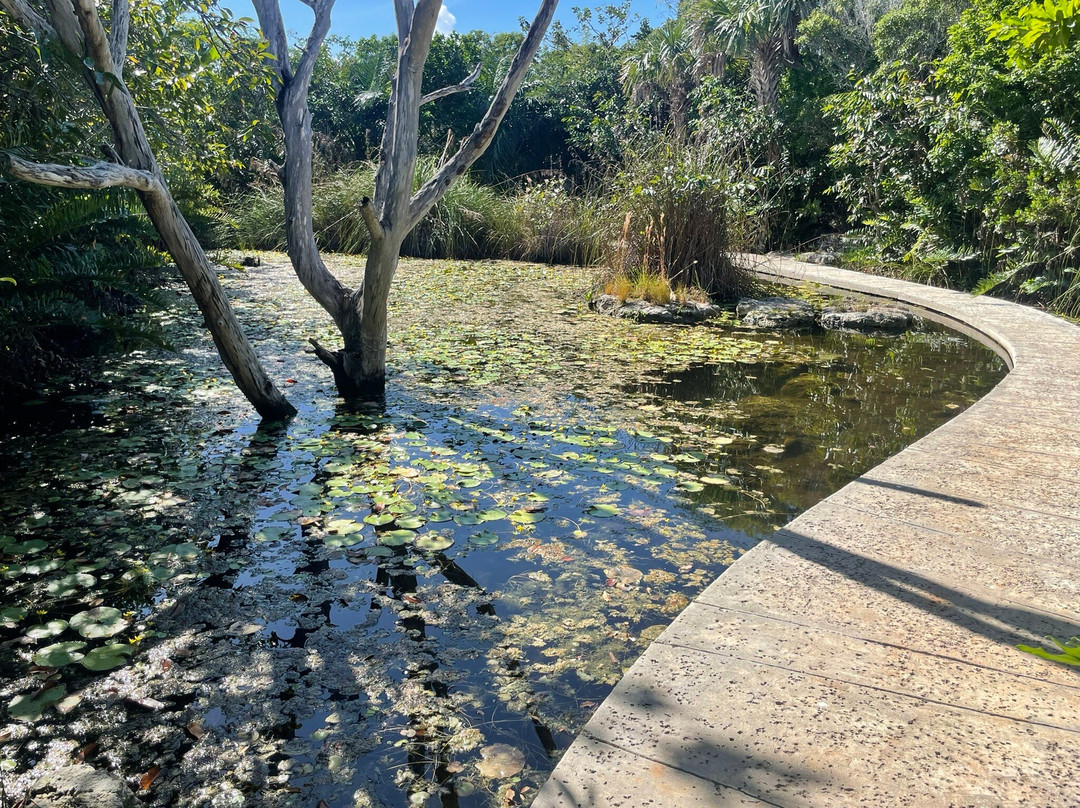 Leon Levy Native Plant Preserve-伊柳塞拉必去景点