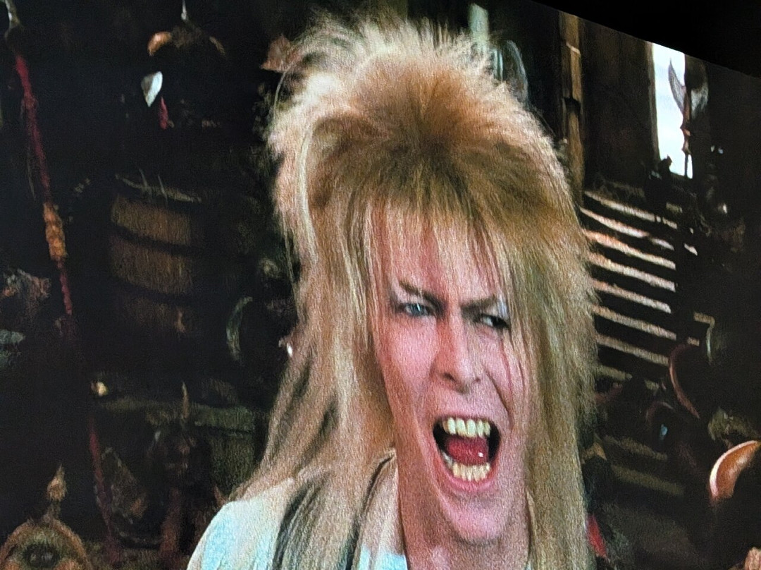 Sheffield City Hall-谢菲尔德必去景点