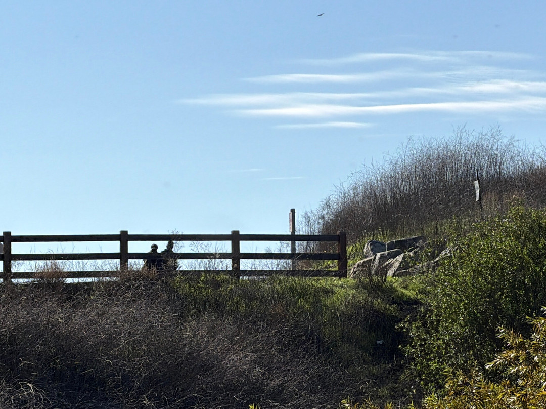 Whispering Lakes Dog Park-安大略必去景点