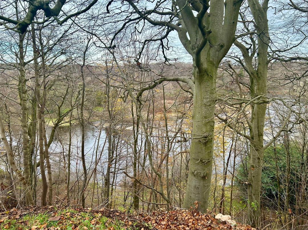 Seaton Park-阿伯丁必去景点