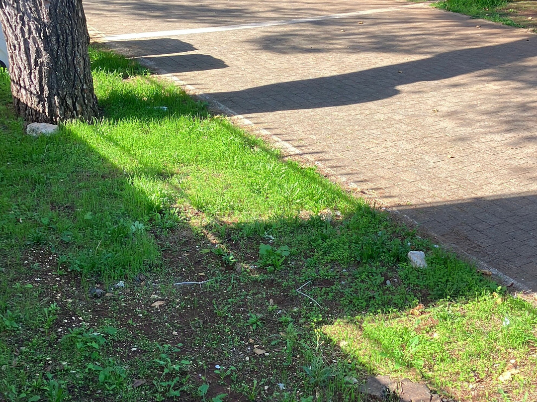 Villa Comunale Don Giacomo Donnaloja-阿尔贝罗贝洛必去景点