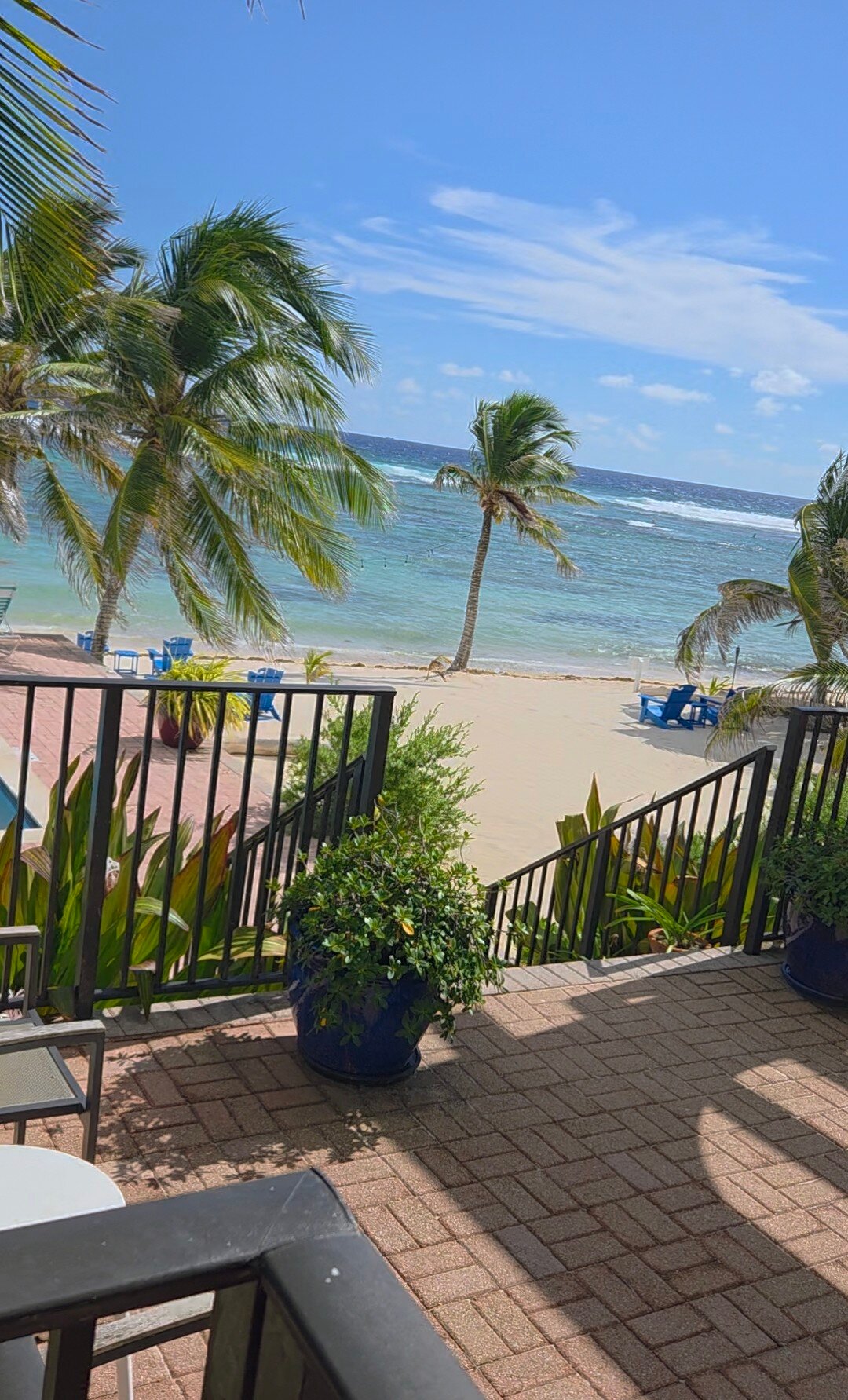 Turtle Nest Inn-官方