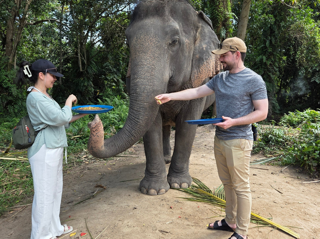 I Love Elephant Samui-Na Mueang必去景点