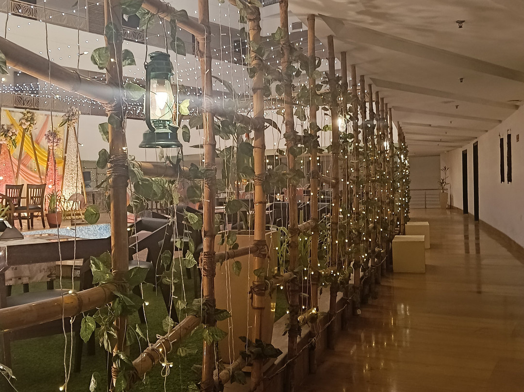 Velvet Clarks Exotica主图