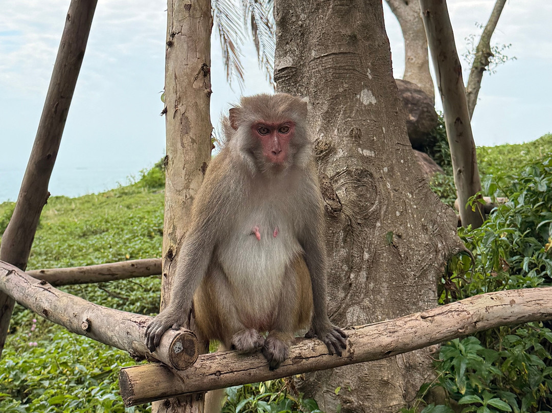 Quang Easyrider - Day Tours-岘港必去景点