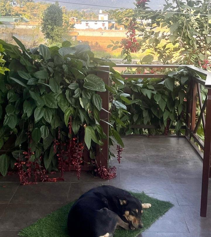 Forest Side Farm主图