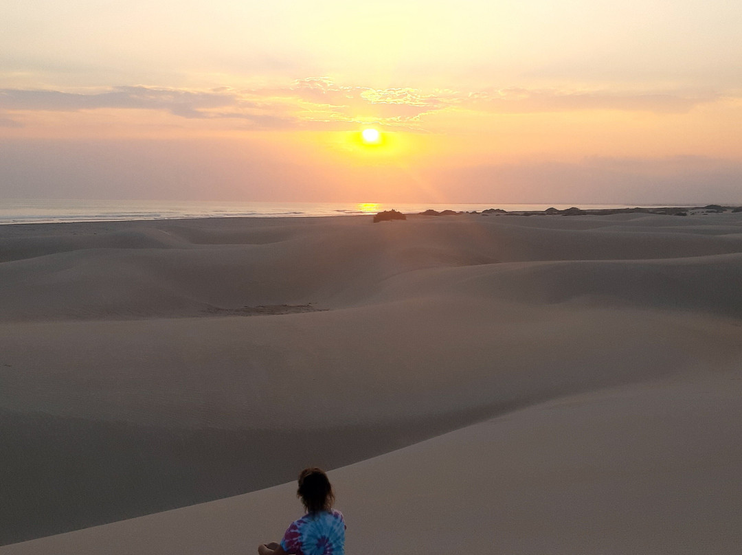 Wild Spirit Socotra-Hadiboh必去景点