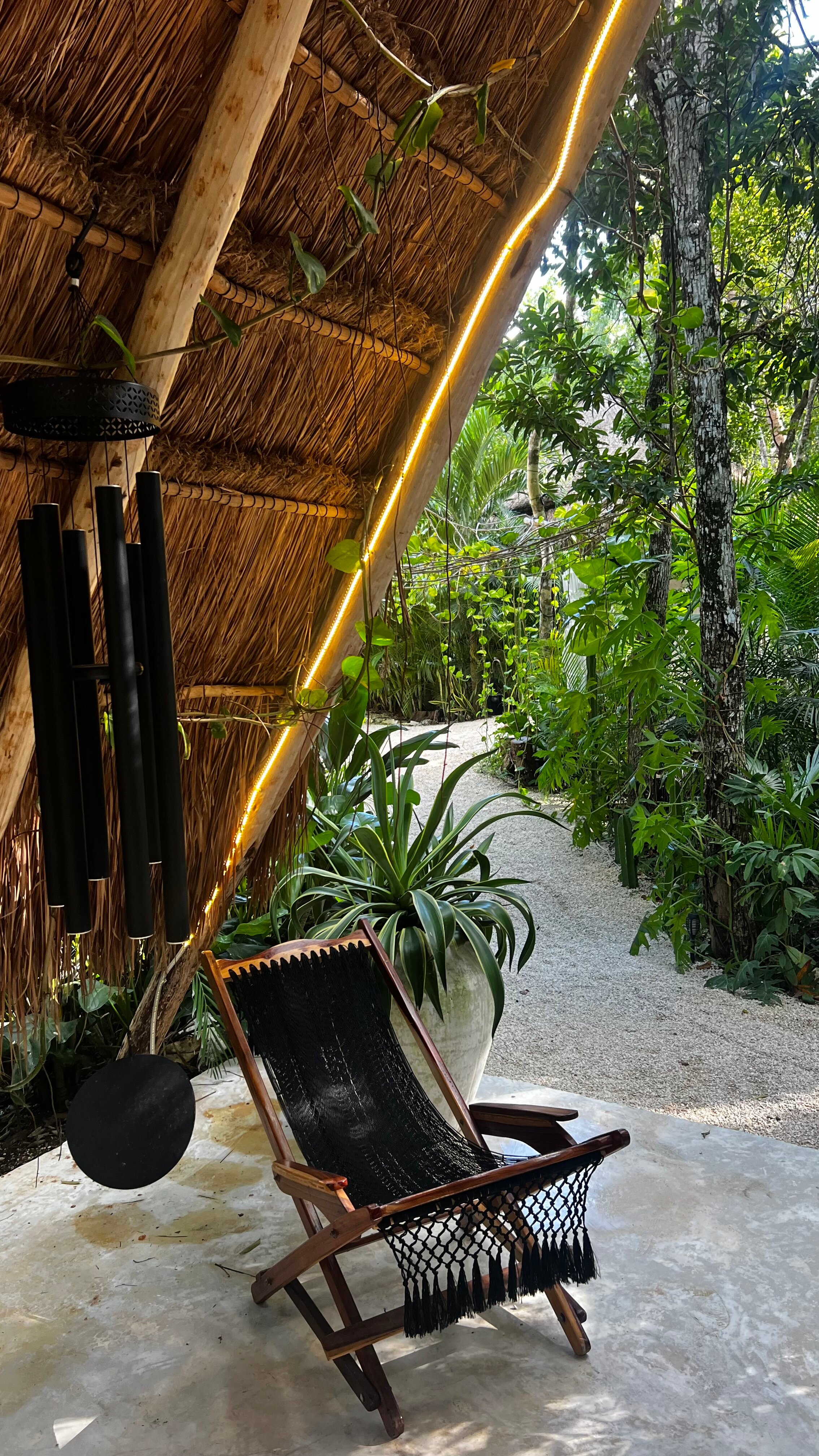 The Yellow Nest-官方