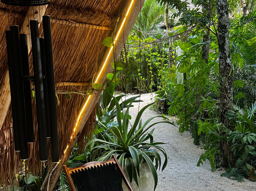 The Yellow Nest主图