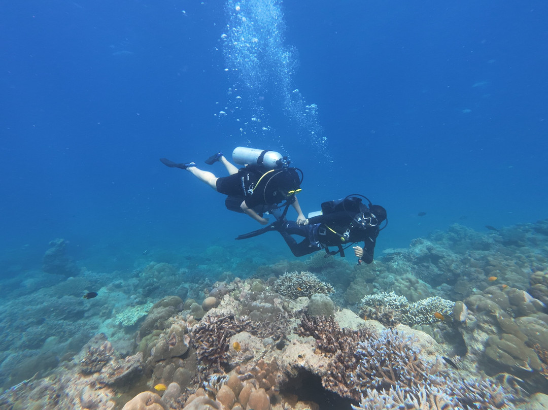 Turquoise Dream | PADI Dive Centre-Neil Island必去景点