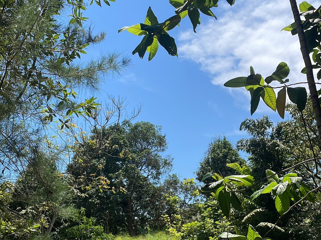 Chácara Vale dos Manacás-Nova Iguacu必去景点