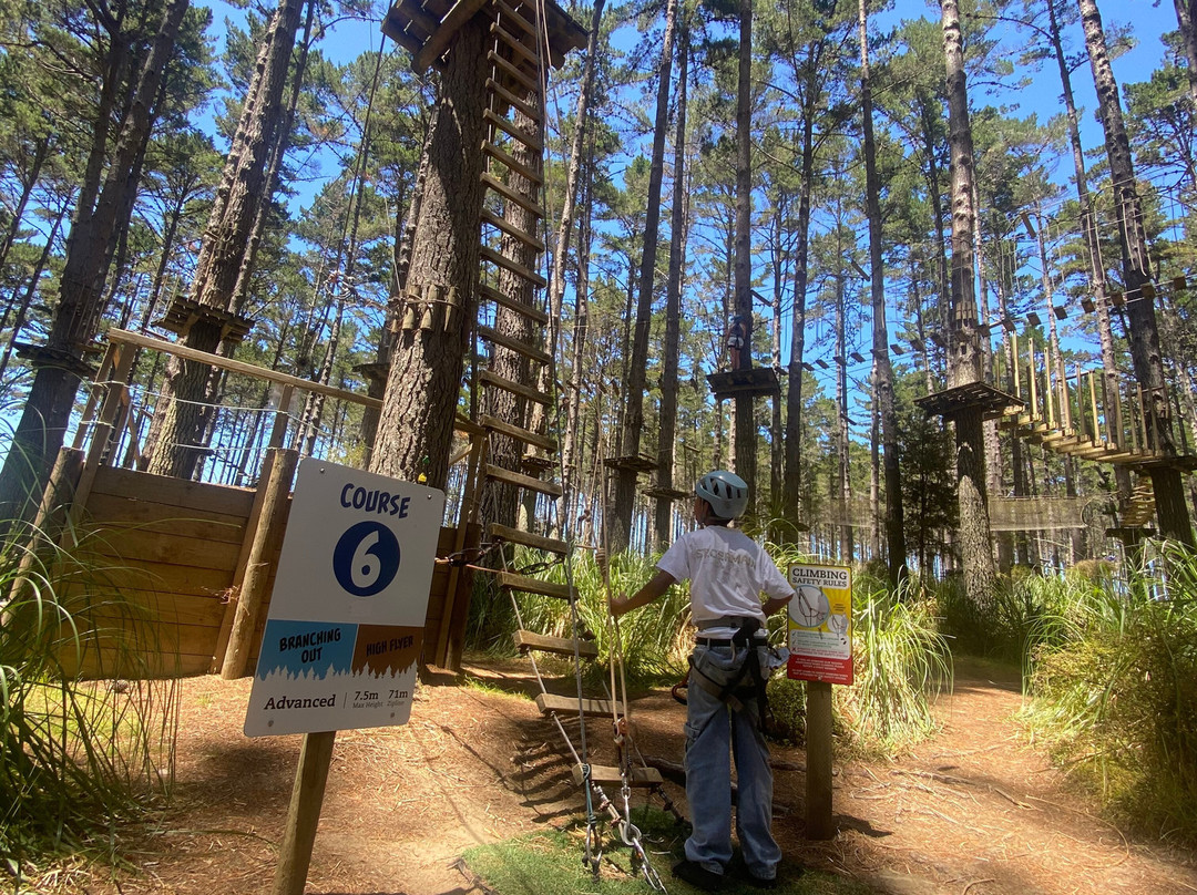 Tree Adventures-伍德山必去景点