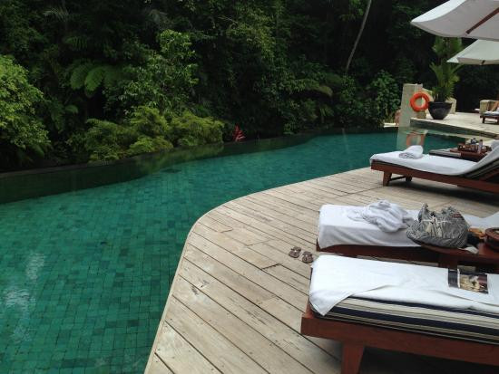 巴厘岛乌布四季度假村主图