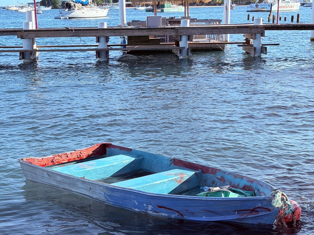 Big Beard's Adventure Tours-Christiansted必去景点