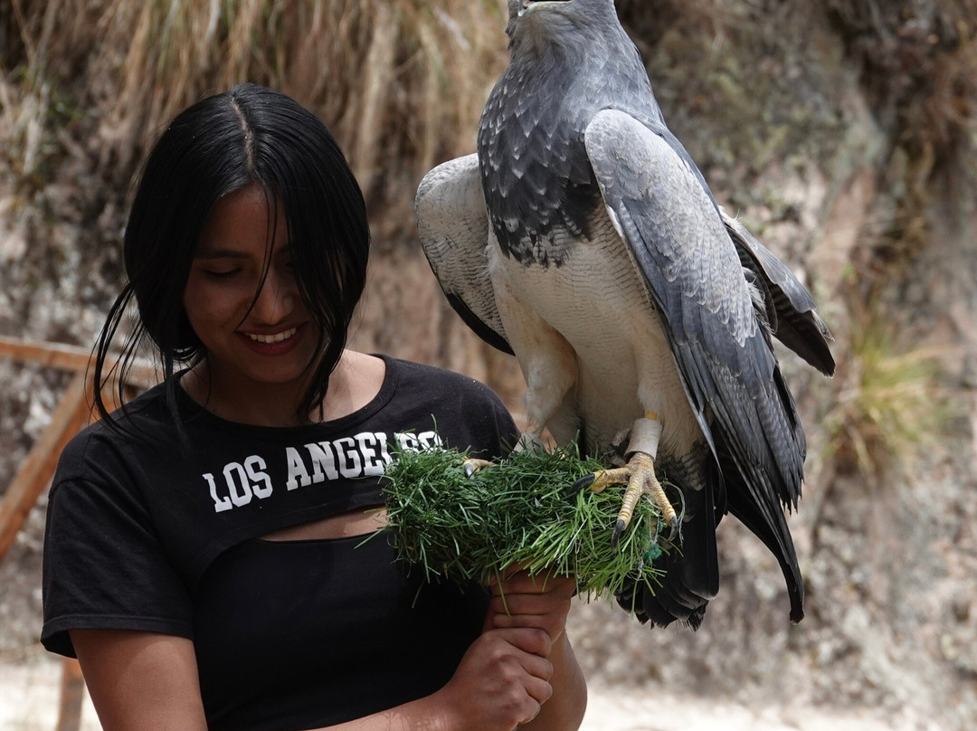 Complejo Arqueologico de Pumacocha o Intihuatana-Vischongo必去景点