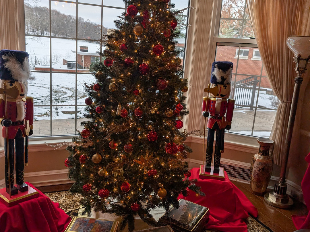 Robertshaw Country House Bed and Breakfast主图