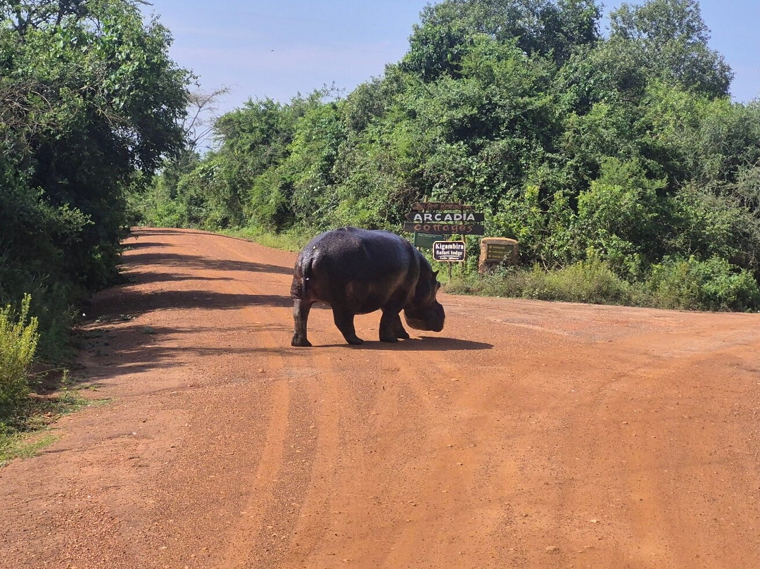 Home to Africa Tours and Travel-坎帕拉必去景点
