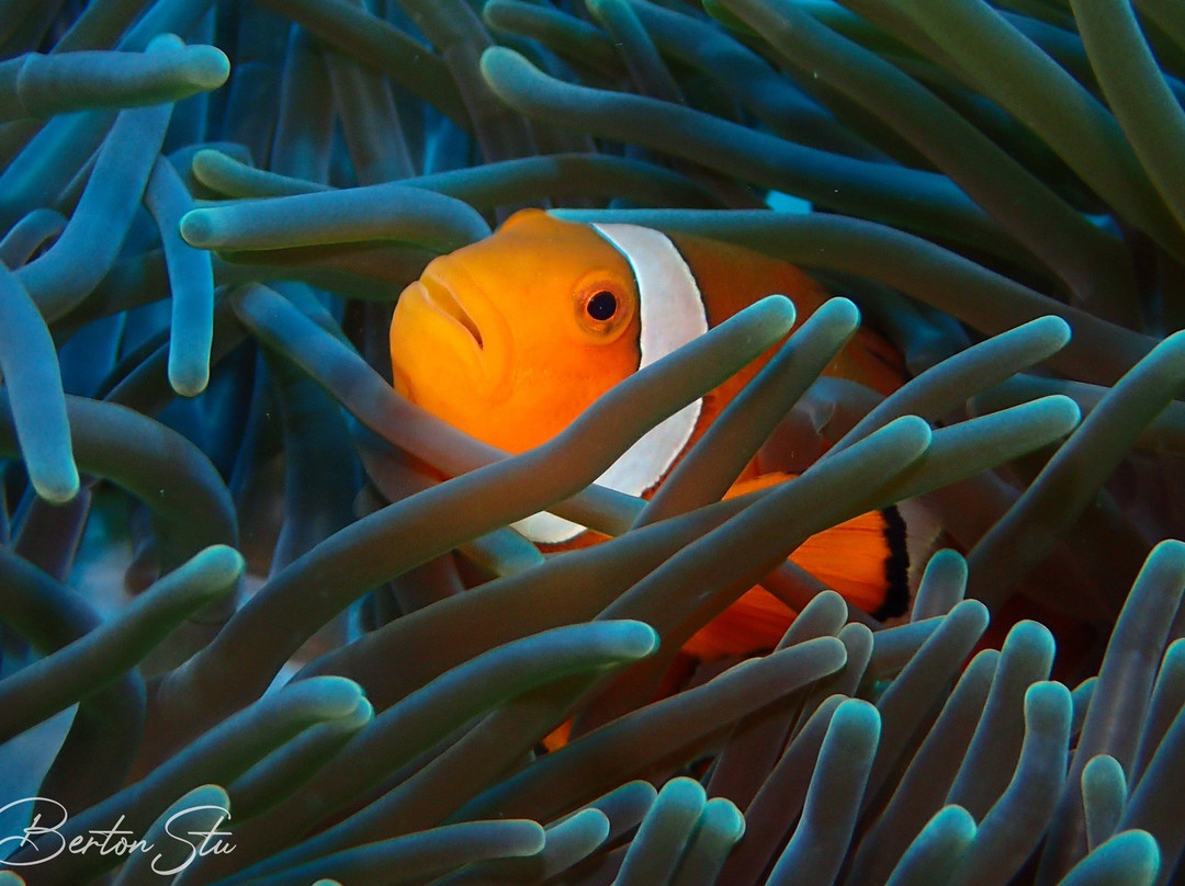 DPM Diving Gili Air-Gili Air必去景点