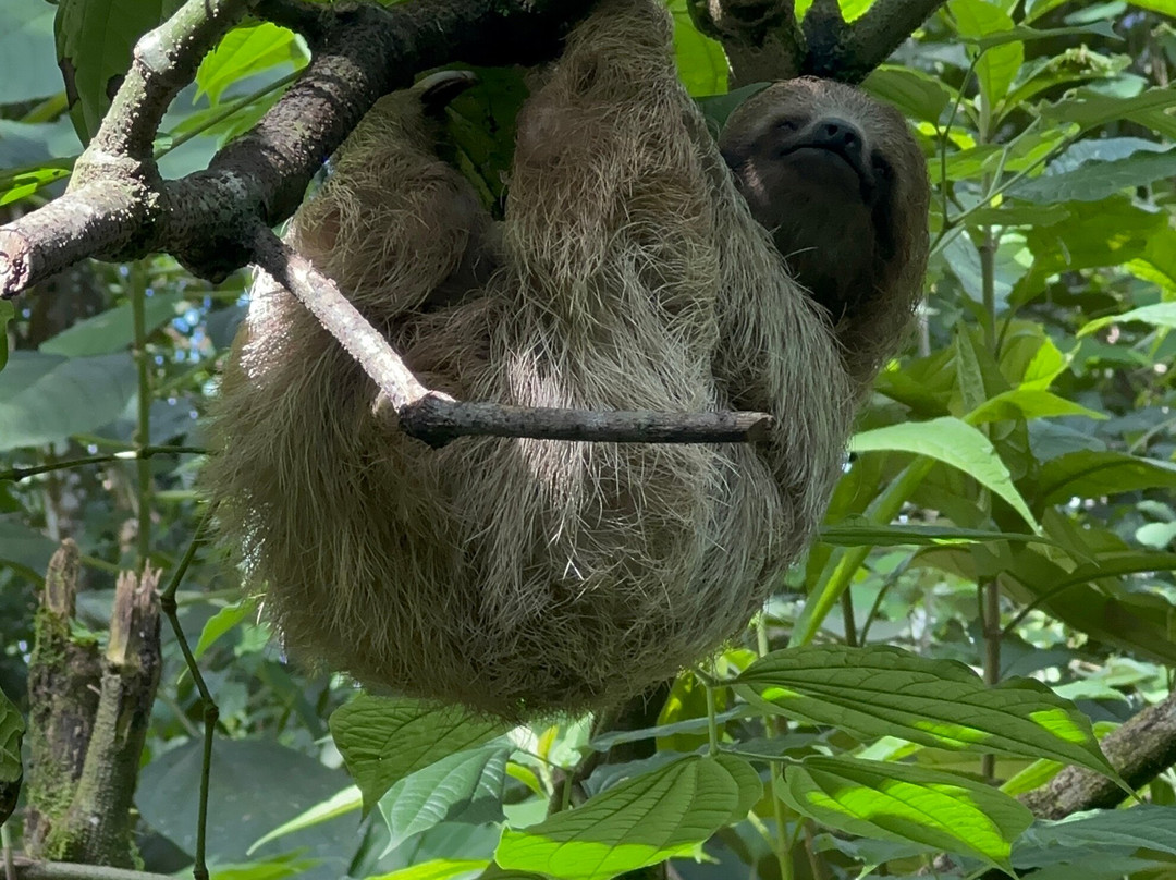 Blessing Tours-Area de Conservacion Guanacaste必去景点