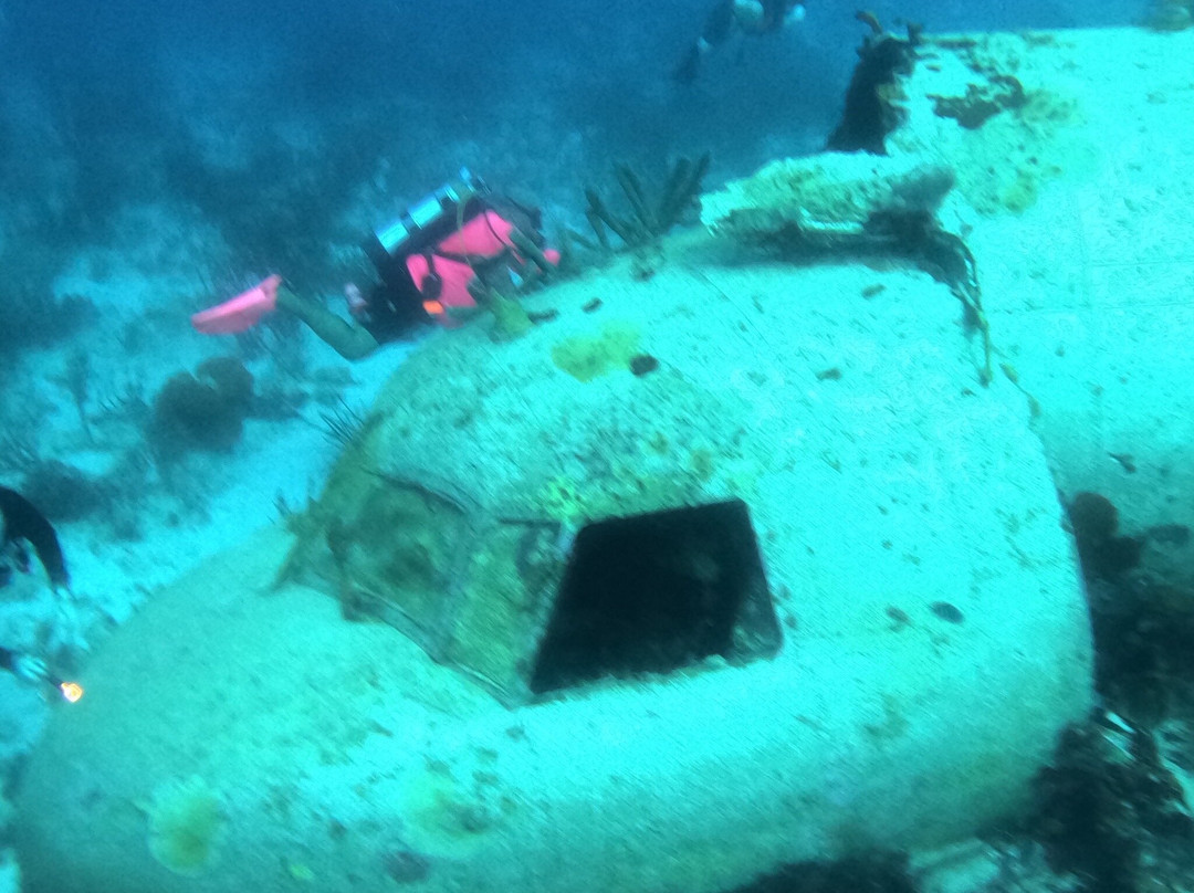 Palm Beach Divers-Noord必去景点