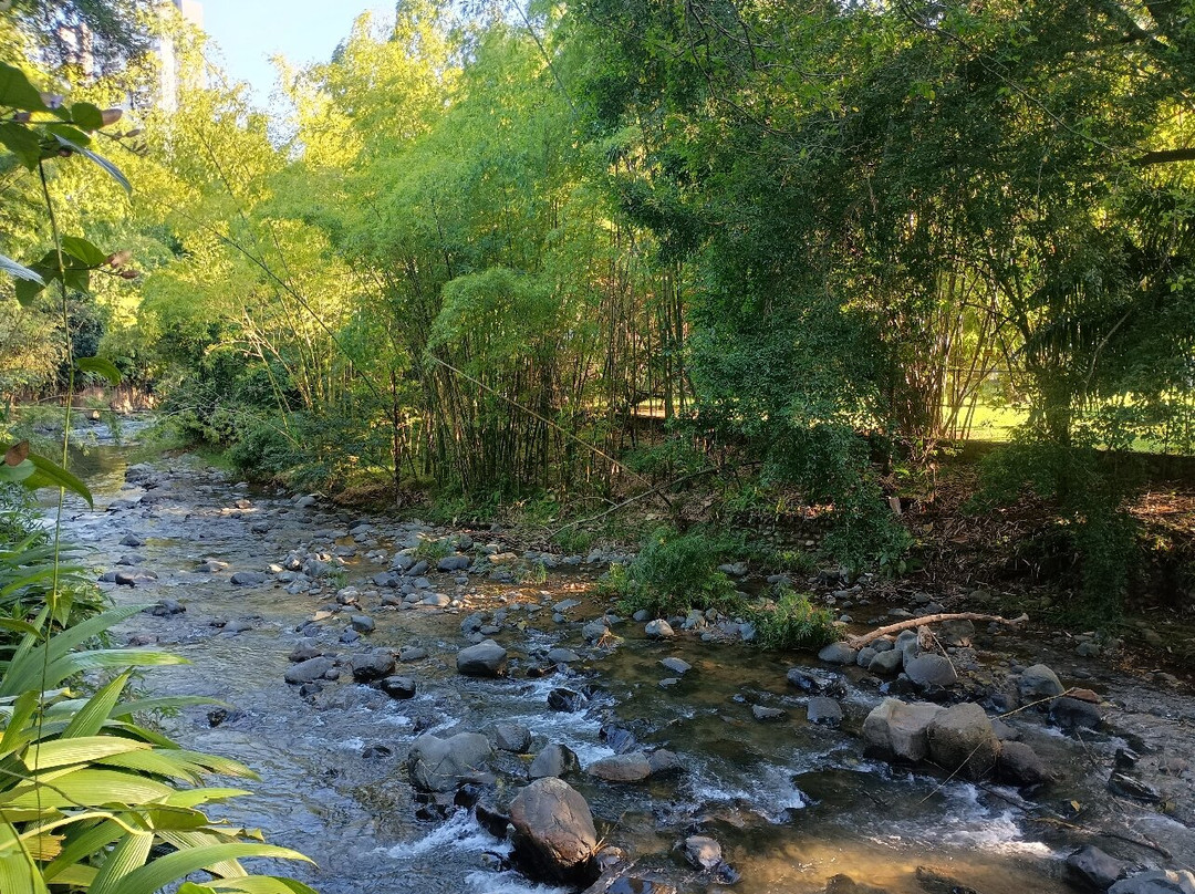 Zoologico de Cali-卡利必去景点