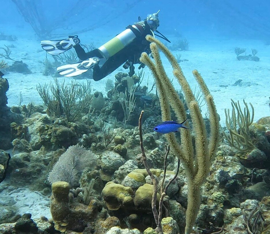 Sunchaser Scuba Ltd.-Spanish Town必去景点