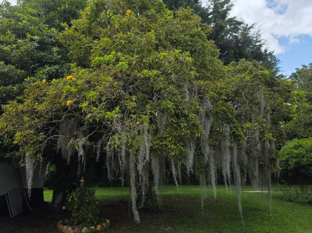 Museo De Ovnilogía y Cultura Ancestral-Tenjo必去景点