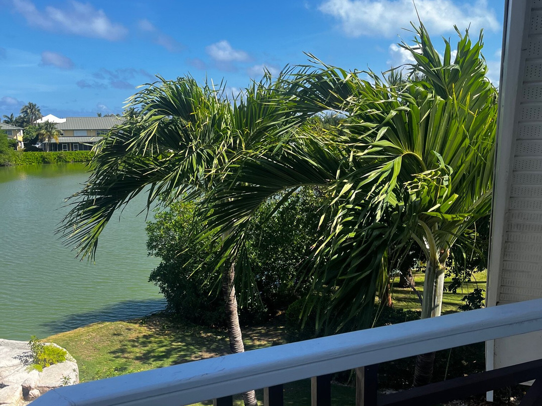 Shangri-La Bed & Breakfast主图