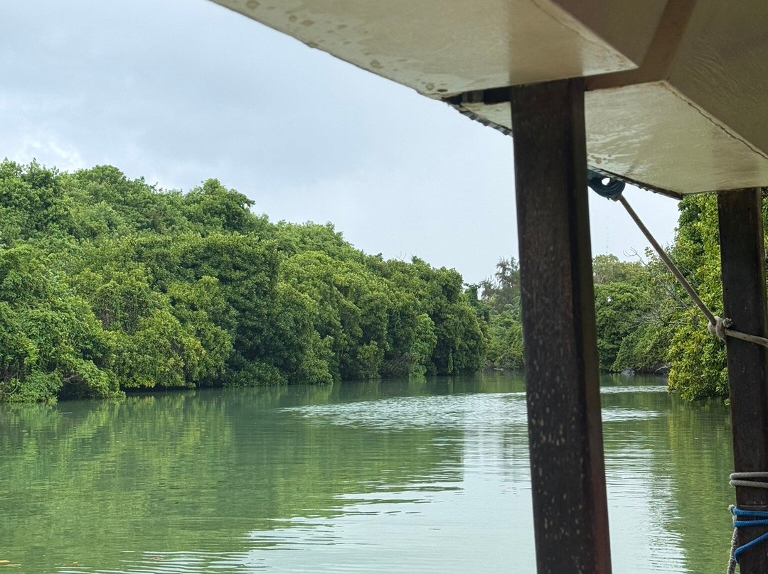 Totof Tours Mauritius-蓝湾必去景点