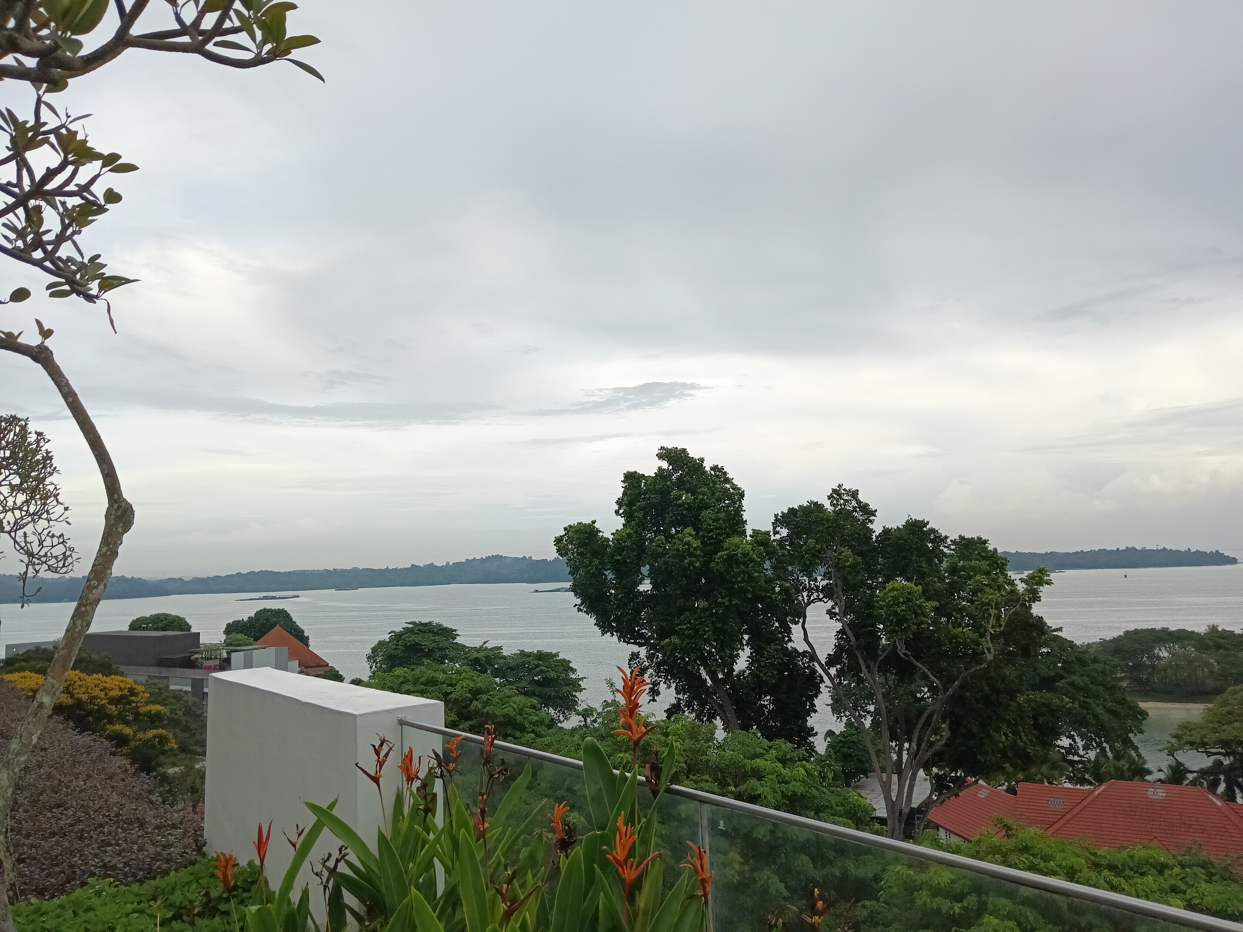 悦乐樟宜酒店-泳池