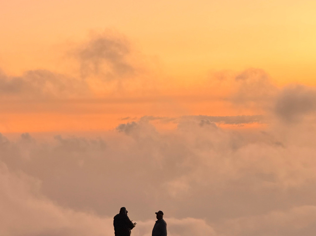 Local Moshi Adventures-莫西必去景点