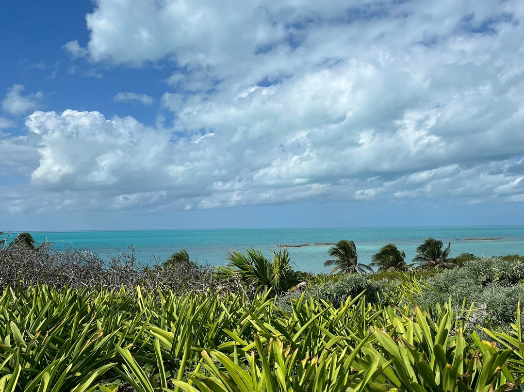 Blue Caribe-艾库玛尔必去景点