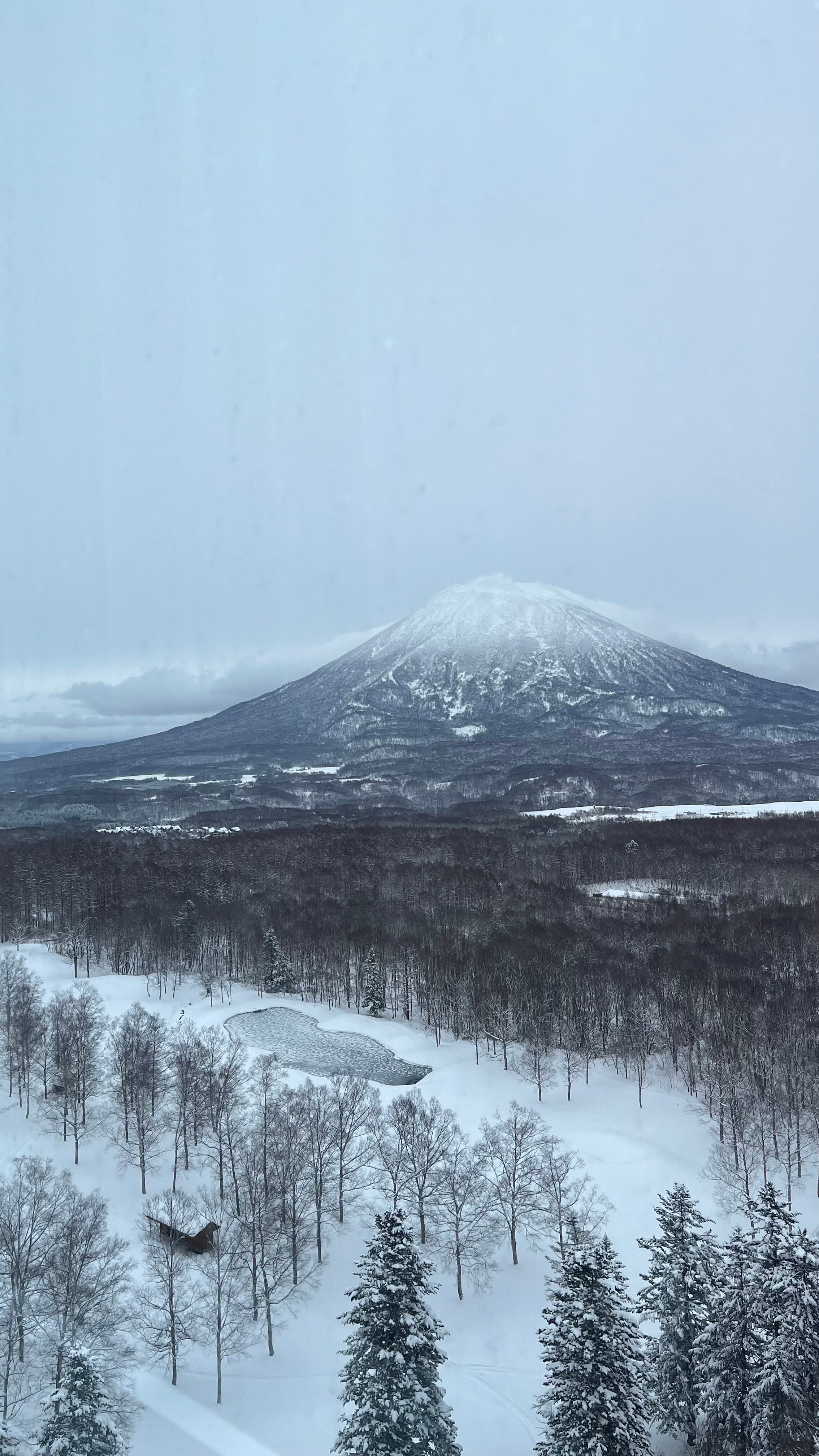 二世古希尔顿酒店-酒店景观
